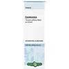 ERBA VITA GROUP SpA DAMIANA FGL SOL IAL 50ML EBV