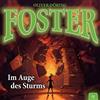 Oliver Doering Foster 15-im Auge des Sturms (CD)