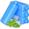 SHINYPASING Confezione da 4 Pezzi di Ice Blocks per Cooler Riutilizzabili in PE Blu, Ghiaccini Leggeri con Coperchio Antigoccia per Trasporto Cibo e Ristorante