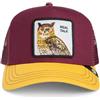Goorin Bros. Trucker The Real Talk Gufo rosso vinaccia, giallo, taglia: unica