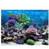 plplaaoo Poster in Carta per Acquario, Sfondo Adesivo in PVC per Acquario con barriera corallina 61x41 cm, Decorazione per Acquario subacqueo, Sfondo Facile da Applicare per Una Splendida (91 * 41cm)