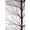 Bizzotto BUNCH, albero di natale - h270 cm