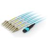Equip Cavo patch MTP/MTP Trunk in fibra ottica, OM4, 15 m