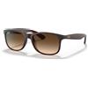 Ray-Ban Occhiali da Sole Ray-Ban Andy RB 4202 (607313)