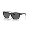 Ray-Ban RB 4428 (710/R5)