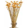 XIZHI 250 steli di fiori secchi naturali brasiliani piccoli StarDaisy decorativi fiori secchi mini margherite bouquet di camomilla per matrimonio fai da te casa festa