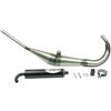 Athena P400010120003 MARMITTA COMPLETA RACING HAND MADE APRILIA RS 50 1999>2001