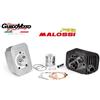 Malossi GRUPPO TERMICO MALOSSI Ø 43 SPINOTTO Ø 12 CVF CIAO BRAVO SI GRILLO 3118733