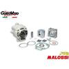 Malossi GRUPPO TERMICO Ø 65 SCOOTER GILERA RUNNER 125 150 2 TEMPI MALOSSI 3111140