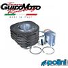 Polini GRUPPO TERMICO Ø 69 Ø 18 MOTOCARRI APE CAR TM POLINI 140.0085