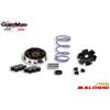 Malossi VARIATORE MULTIVAR MHR SCOOTER PIAGGIO ZIP NTT FREE MALOSSI 518648