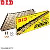DID Catena trasmissione Moto DID 530VX3 120 maglie passo 530 X-RING Oro Rivetto