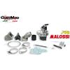 Malossi IMPIANTO LAMELLARE PHBL Ø 25 VESPA 125 ET3 PRIMAVERA MALOSSI 1610847