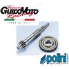Polini RAPPORTI PRIMARI POLINI ALLUNGATI Z.14/39 Ø 17,67 SCOOTER ZIP DIESIS PIAGGIO 50