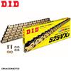 DID Catena trasmissione Moto DID 525VX3 120 maglie passo 525 X-RING Oro Rivetto