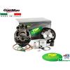 Top Performances GRUPPO TERMICO TOP Ø 49 GHISA MOTORE AM 3 4 5 AM 6 MINARELLI 9919250