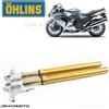 OHLINS KAWASAKI ZX-14R 2006-2020 forcella oro OHLINS FGRT 207 R&T 43 NIX