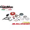 Malossi ACCENSIONE MALOSSI VESPOWER CONO VOLANO Ø 20 KG. 1,2 VESPA ET3 PK 5516955