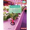 Kevin Kurtz The Future of Food (Tascabile) Searchlight Books — Future Tech