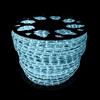 Royal Led tubo luminoso a LED 30mt 220v decorazione per esterni luci natalizie colorate (Bianco Freddo)