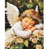 Hdfvlfdsa Kit Punto Croce, Angelo Bambino Addormentato 40X50Cm Schemi Quadri Set Ricamo Punto Croce Kit Da Ricamare Principianti Starter Prestampato Stampato Completo Bambini Cross Stitch Embroidery R