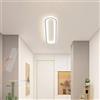 TZSMUM Moderne Ultra Sottile Plafoniera LED Soffitto Dimmerabile 2700K-6500K Lampada da Soffitto con Telecomando Plafoniera per Camera da Letto Soggiorno Cucina (Bianco,80cm)
