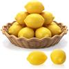 Hejo 12 Pezzi Artificiale Giallo Limone 9 x 6,5 cm, Limoni Decor Artificiale Realistica, Frutta Finte Decorativa Realistica per Cucina Festa vasi Decorazione e Accessori Fotografici