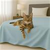 Byour3 - Copriletto in Cotone Misto ORGANICO Matrimoniale Letto Singolo Piazza e Mezza Coperta Pesante Lavabile Teli Arredo Multiuso Copritutto GrandFoulard Copridivano (Avio, Singolo)