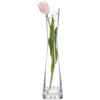 OHEETU Piccolo vaso da fiori trasparente, mini bocca, stelo singolo, vaso decorativo per matrimoni, feste, decorazione per la casa, centrotavola, soggiorno, ufficio, altezza 20 cm