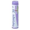 Boiron Staphysagria 30CH Globuli Tubo