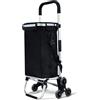 VOUNOT® Carrello Spesa Pieghevole in Alluminio, Carrello Portaspesa 6 Ruote con Borsa Termico, 58 L, Nero
