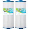 BLUEFLO Cartuccia Filtro di Ricambio per Piscina e Spa, per Unicel 6CH-960, Filbur FC-2800, PJW60TL-F2S, Confezione da 2