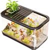 Generico Kit Acquario Ventilato Per Contenitore Tartarughe Con Scale Sabbia Paesaggi Vita Acquatica Piante Decorazioni Gamberi