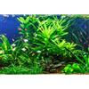 MIRRORANG 91x41cm Sfondo Acquario Pianta Acquatica Acquario Acquario Subacqueo Sfondo Fiume Letto & Lago Acquario Sfondo