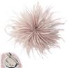 TIANLIN 2 Pezzi Spille a Forma di Piuma 2-in-1, Rosa Spilla per Feste Moda
