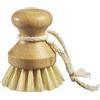 Westmark Spazzola universale - spazzola versatile con setole rigide, spazzola per radici per pulire e strofinare, anche per pulire le verdure - legno di faggio, setole naturali, vegan