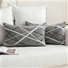 MIULEE Copricuscini 2 Pezzi Federe per Cuscini Stampata a Raggi Comodo Poliestere con Cerniera Invisibile Rettangolare per Prato Camera da letto Interno Cucina Lavabile 30X50 CM Grigio Chiaro