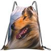 YOFIEN Bellissimo zaino con coulisse e acqua Rough Collie, resistente, per donne e uomini, per sport e palestra