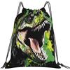 Dusviba Zaino con coulisse retrò dinosauro acquerello | Borsa da palestra leggera in poliestere resistente all'acqua per sport, viaggi, scuola, yoga, spiaggia, shopping