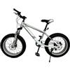 Royal Led FATWHEEL Bicicletta per bambini misura 20, Fat Bike con Freni a Disco, Ruote Grosse Antiscivolo, Telaio Robusto, Bici per Ragazzi 7-12 Anni, MTB per Tutti i Terreni