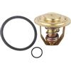 SzxJkmf Kit termostato 60°C 140°F for AQ60 AQ90 AQ110 AQ130 MB20 MD11 876080 875781