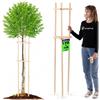 KADAX Supporto per albero da 170 cm, in legno robusto, per un fissaggio sicuro di giovani alberi e arbusti, supporto per piante in legno di faggio per giardino
