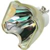 ZHANGMIXINY POA-LMP94 LMP94 Accessori di ricambio delle lampade for proiettori for proiettori PLV-Z5 PLV-Z4 PLV-Z60 PLV-Z5BK(POA-LMP94-CB)