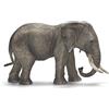 Schleich 2514657 - Elefante Africano Femmina