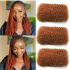 Yuefer Afro Kinky Curly Human Hair for Dreadlocks & Twist 14 Inch 50g/pc | 350# Ginger Afro Curly Crochet Braiding Hair Bulk Mini Locs Micro Spring Twist