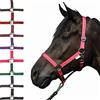 HKM 558587 - Cavezza Stars Economy