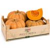 CG94 - Zucca Fresca Italiana Selezione Premium 3 kg | Ideale per Zuppe, Ottima per Risotti, Perfetta al Forno, Prodotto di Stagione, Versatile in Cucina