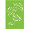 Rosa Campbell Pothos (Tascabile)