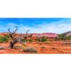 MIRRORANG 61x41cm Terrario Sfondo Blu Cielo Montagna Oasi Deserto Sole e Gobi Rettile Habitat Sfondo Vinile Sfondo