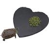 Dnoifne Piattaforma per Rettili in Pietra Naturale a Forma di Cuore, 20 × 20 cm, Ciotola per Cibo e Zona Soleggiata per Tartarughe, Draghi Barbuti, Camaleonti, Gechi, Granchi Eremiti